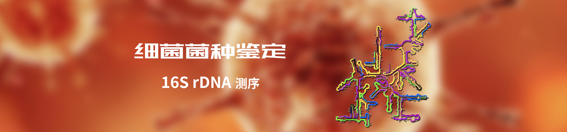 應(yīng)用于煤化工、石油領(lǐng)域，1臺(tái)好閥門(mén)頂3臺(tái)普通閥